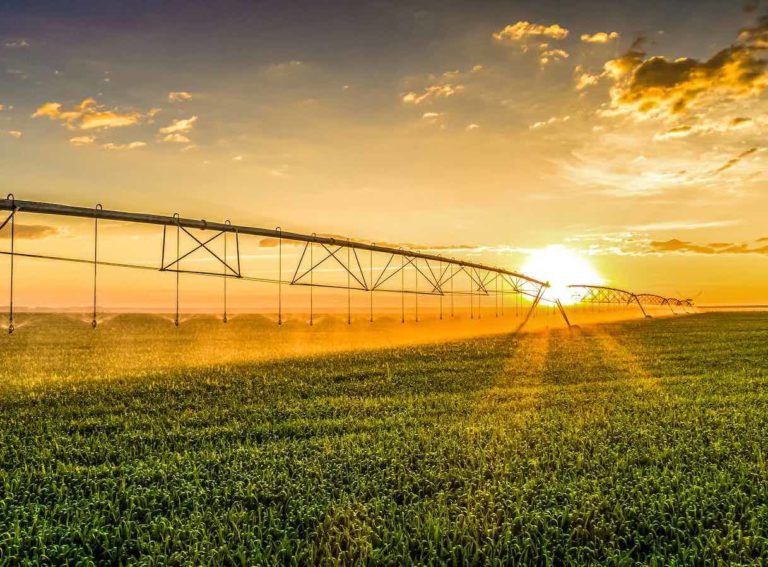 A photo overlooking a vast farm field as the sun is setting.