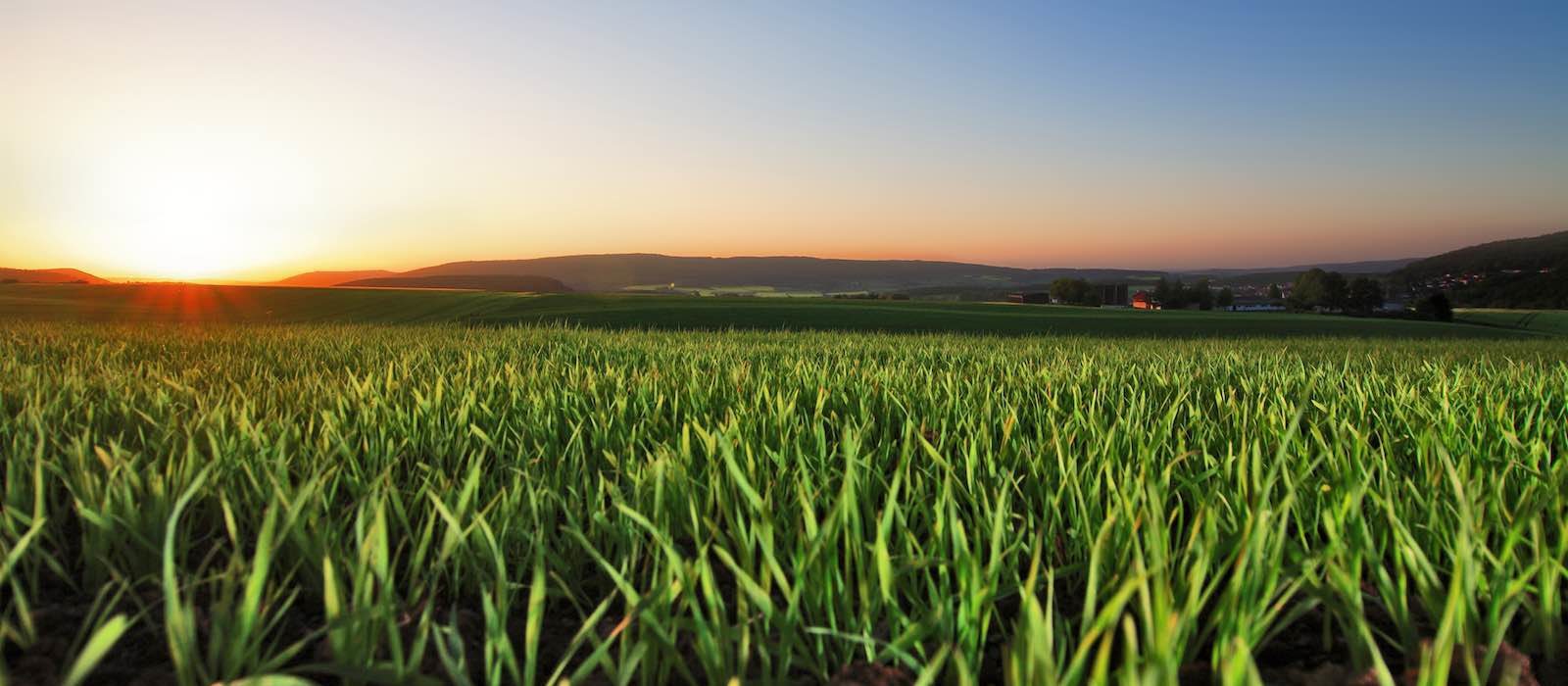 Sustainability Compass Group Canada