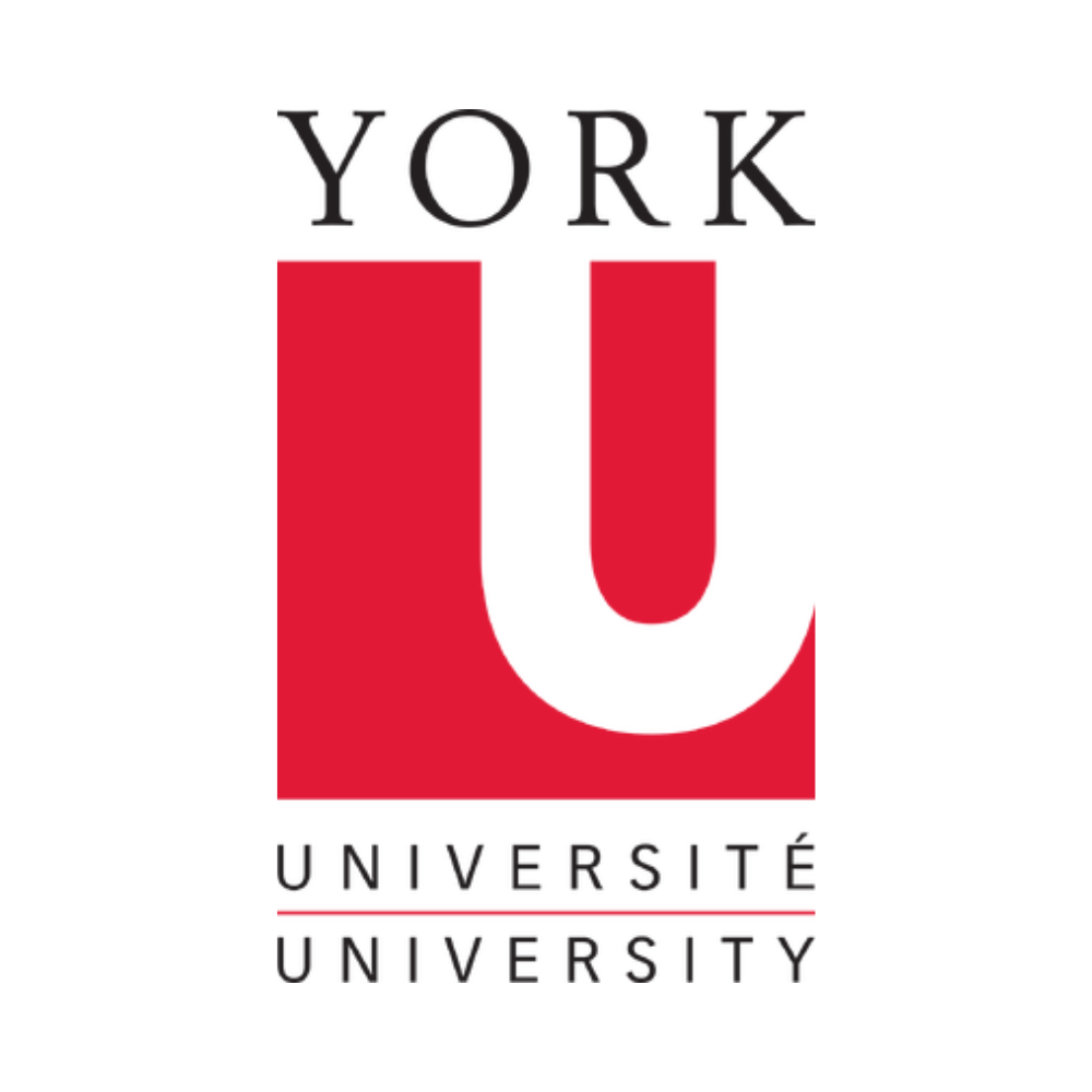 York University Logo