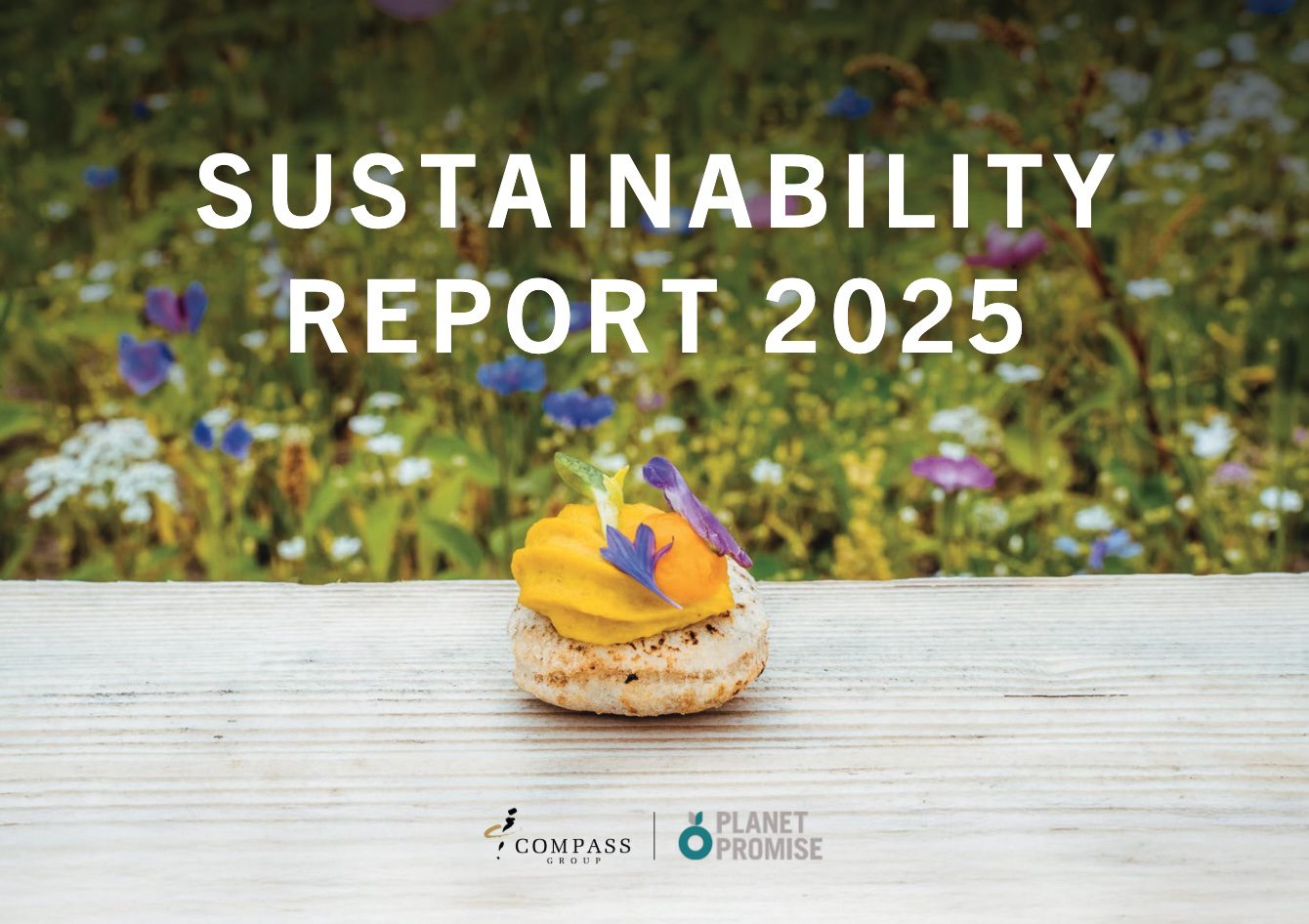 title page for the 2025 Global Sustainability Report